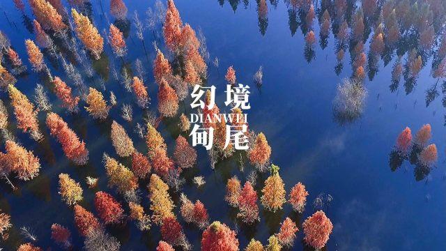 星际争霸2
