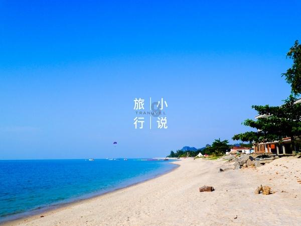 逃离棕榈树森林