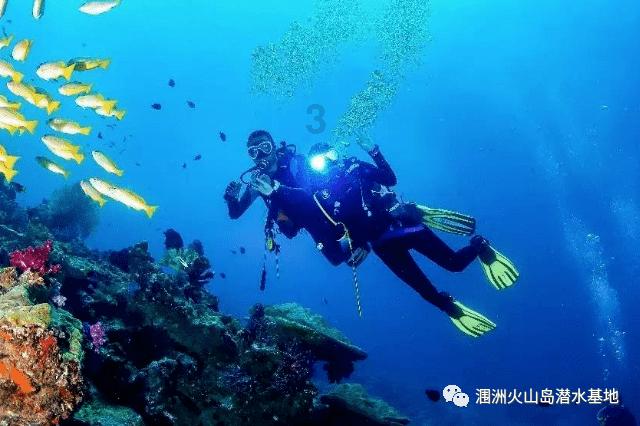 连续8年邀请粉丝聚会，长安发布2024“伙伴+”计划