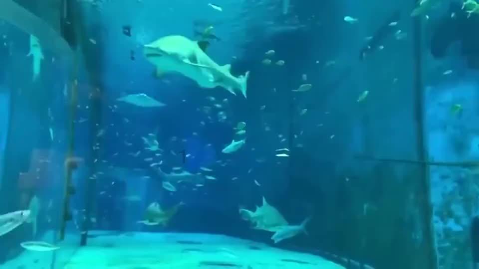 鸡尾酒酒精度多少游戏画面