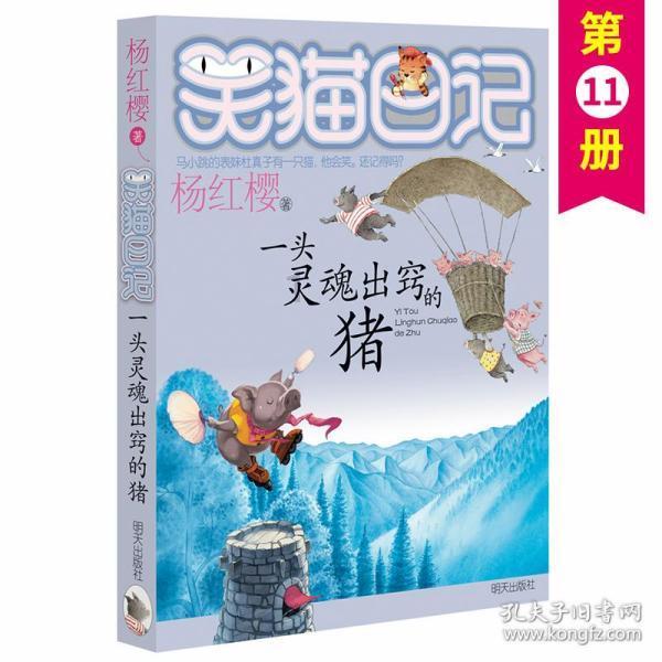 拯救迷路魔术男孩