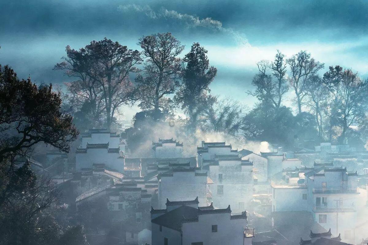 寂静森林找星星